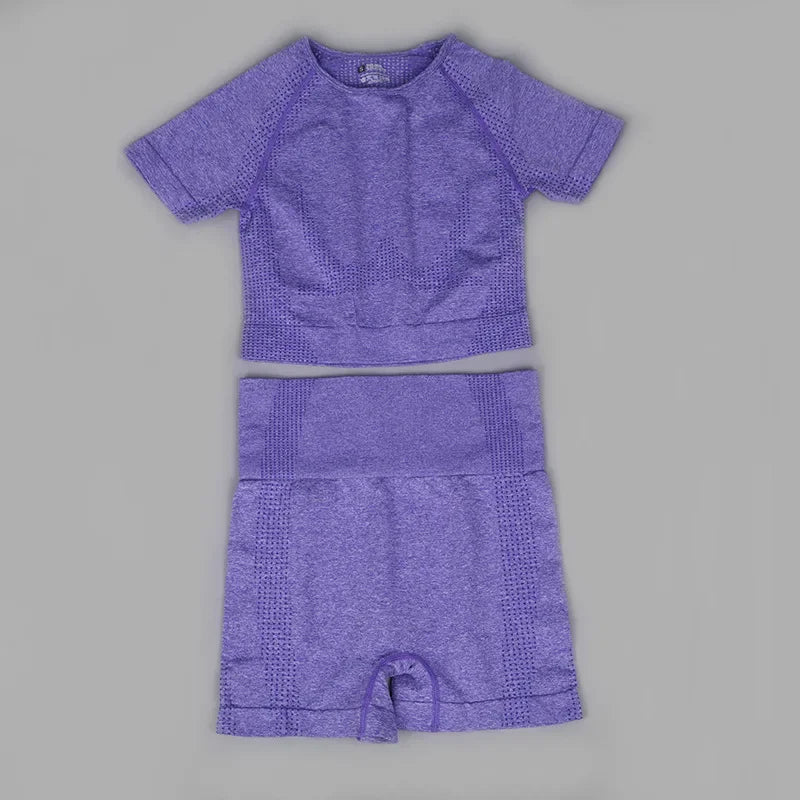 Chándal de mujer, conjunto de dos piezas, conjuntos deportivos para mujer, shorts y top para fitness, gimnasio, monos, conjunto de ropa de yoga sin costuras