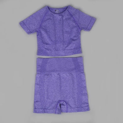 Chándal de mujer, conjunto de dos piezas, conjuntos deportivos para mujer, shorts y top para fitness, gimnasio, monos, conjunto de ropa de yoga sin costuras