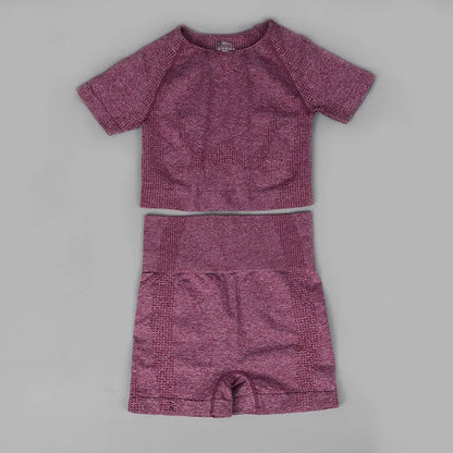 Chándal de mujer, conjunto de dos piezas, conjuntos deportivos para mujer, shorts y top para fitness, gimnasio, monos, conjunto de ropa de yoga sin costuras